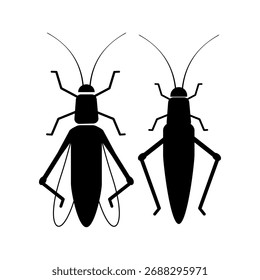 verschiedene Arten von Insekten auf weißem Hintergrund
