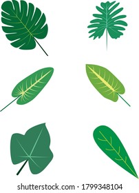 various types of leaf designs