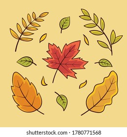 various types of leaves in autumn. The average is red and orange.