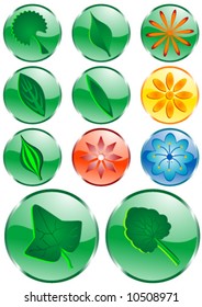 Various types of leaves and flowers on glossy buttons