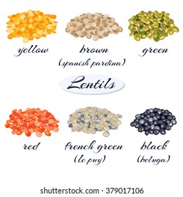 Various Types Of Lentils (yellow, Brown, Green, Red, French Green, Black Lentils). Vector Illustration.