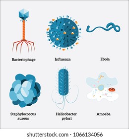 Diversos tipos de microorganismos. Virus y bacterias. Ilustración vectorial.