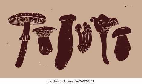 Various types of Mushrooms. Forest wild edible mushrooms. Hand drawn modern Vector illustration. Isolated design elements. Autumn mood, vegetarian, organic food concept