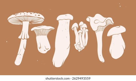 Various types of Mushrooms. Forest wild edible mushrooms. Hand drawn modern Vector illustration. Isolated white design elements. Autumn mood, vegetarian, organic, healthy food concept