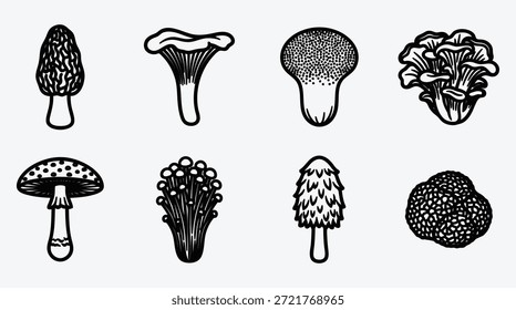 Various types of mushrooms on white background