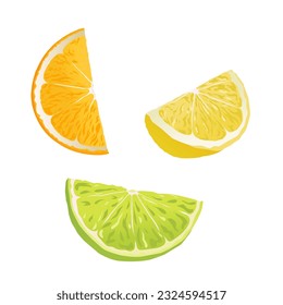 Divers types d'oranges, différentes couleurs