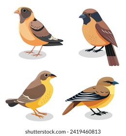 various types of ornamental birds, vector design set