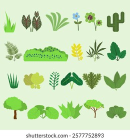 various types of plants with different types