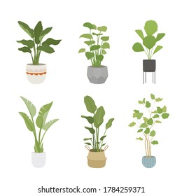Various types of plants in pots of various designs. flat design style minimal vector illustration.