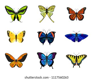 Various types of realistic butterflies:  Colias Eurytheme, Wallace's Golden Birdwing, Ornithoptera Paradisea, Monarch,Tiger Swallowtail, Phocides Polybius, Kallima Paralekta Horsfield, Mariposa Azules
