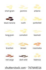 Various types of rice with names isolated on white background.