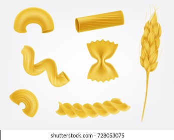 白い背景にパスタ 麺類 マカロニなど 様々なタイプや形をしたシリアルイヤーの写実的なベクターイラスト イタリアの国民料理の伝統的な食材 自然健康食 のベクター画像素材 ロイヤリティフリー Shutterstock
