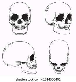 Various types of skull in vector