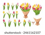 Various types of tulips in different colors. Bouquet of tulips. Vector illustration in cartoon style.