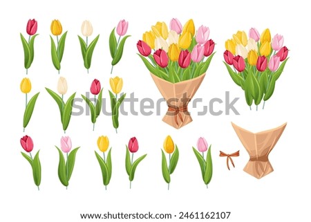 Various types of tulips in different colors. Bouquet of tulips. Vector illustration in cartoon style.