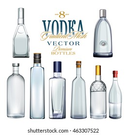 Various Types Of Vodka Bottles. Vector Illustration