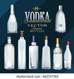 Various Types Of Vodka Bottles. Vector Illustration