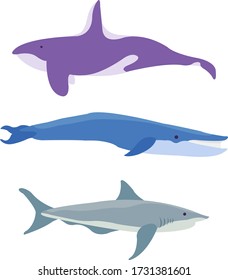 Various types of whales of various sizes under the sea. Perfect graphics for posters, websites and many more
