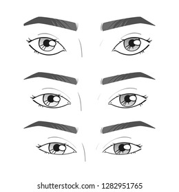 Various types of woman eyes on white background. Set of different eye shape. Vector illustration.