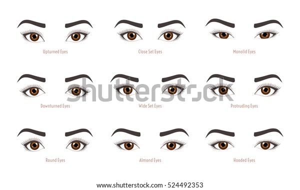 女性の目の種類はさまざまです ベクター画像の目の形のセット キャプションとイラストのコレクション メイクアップタイプの インフォグラフィック 白い背景に 接写 はみ出し 頭巾 アーモンド 裏返し のベクター画像素材 ロイヤリティフリー