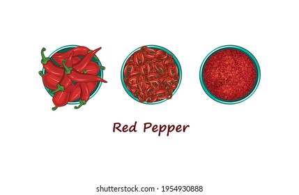 Various uses of red pepper. Red pepper, chopped into rings and ground. Color image in sketch style with explanatory text on a white background. Design element. Vector illustration.