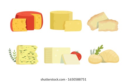 Diversas variedades de la colección de queso, deliciosos vectores de productos lácteos frescos ilustraciones de fondo blanco