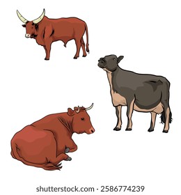 various varieties of cows with separate white background