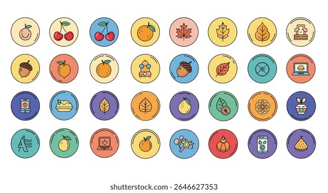 Various Vector Fruit and Leaf Illustrations with Food and Lifestyle Concepts for Design