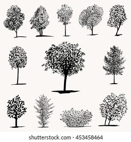 Various of vector hand drawn tree silhouettes in dark black color. Set of trees sketch silhouettes on white background