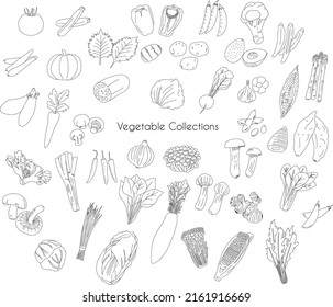 Various Vegetable drawing collections set