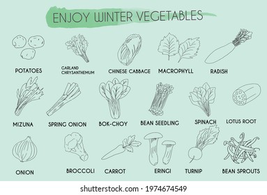 Various vegetable drawing simple sets