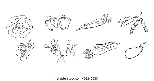 various vegetable illustrations