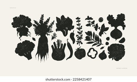 Various vegetable silhouettes kit. Abstract vintage style. Healthy food design. Vector illustration.