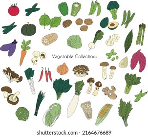 Various Vegetable simple drawing set