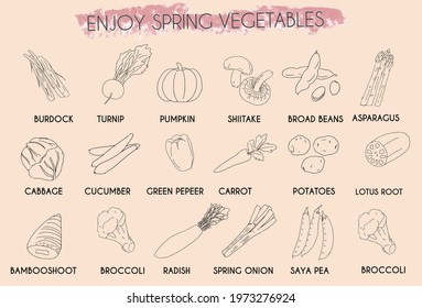 Various vegetable simple line set