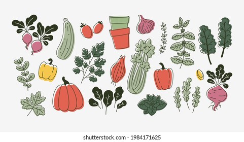 
Various vegetables collection. Linear flat graphic. Healthy food design. Vector illustration