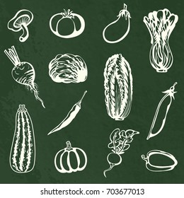 Various vegetables. Collection of white lines sketches of cabbage, pea, pepper, eggplant, radish, tomato, pumpkin, mushroom, red beet, marrow squash at green chalkboard. Vector illustration.