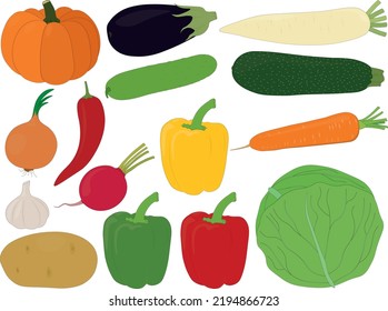 Various vegetables harvest collection vector illustration