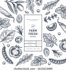 Various vegetables on white background. Growing concept. Organic fresh vegetables. Packaging design template. Vector illustration