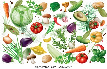 various vegetables and spices on a white semi transparent background. Vector illustration
