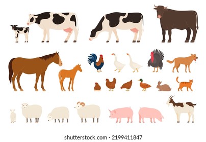 Varios animales de granja de pueblo. Bovino domesticado y aves domésticas. Ilustración del vector