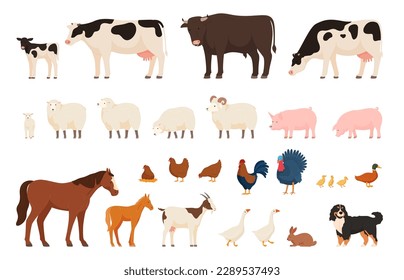 Various village farm animals. Domesticated cattle and domestic birds. Vector illustration