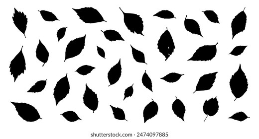 various virginia creeper leaf silhouettes on the white background