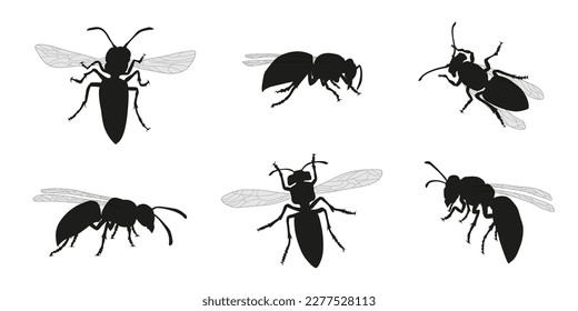 various wasp silhouettes on the white background