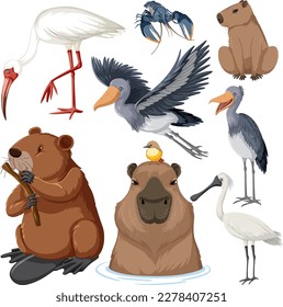 Various Wetland Animals Collection illustration