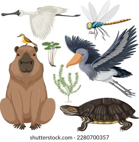 Various Wetland Animals Collection illustration