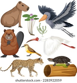 Various Wetland Animals Collection illustration