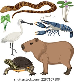 Various Wetland Animals Collection illustration