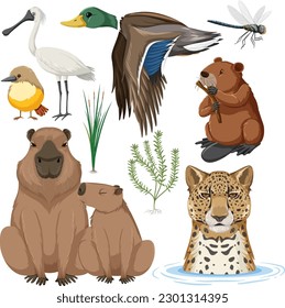 Various Wetland Animals Collection illustration