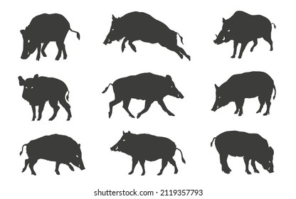 various wildboar silhouettes on the white background